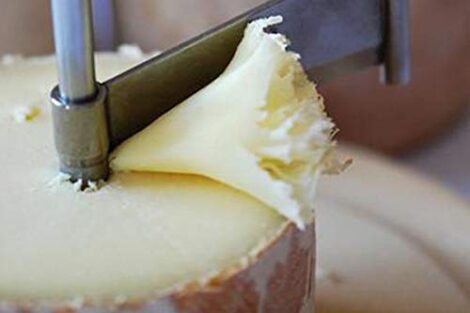 FVLFIL BRINX Tete de Moine Classic Rohmilchkaese halber Laib ca 400g 0 1